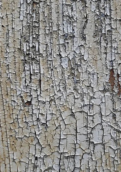 旧的受损木材的纹理 白色破裂油漆的背景 — 图库照片