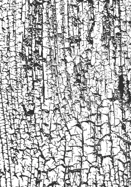 Angustia textura de madera seca vieja . — Vector de stock