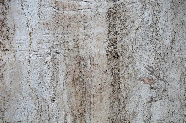石头背景纹理 损坏的白色背景上有很深的划痕和裂缝 — 图库照片