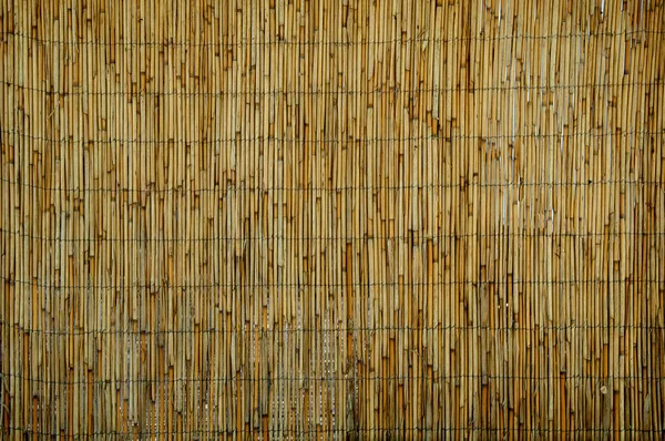 Kerítés Nádas Kerítés Hátterének Textúrája Sárgásbarna — Stock Fotó