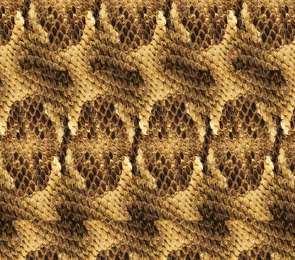 Textura Piel Serpiente Marrón Con Fondo Escamas Serpiente Amarilla Con —  Fotos de Stock