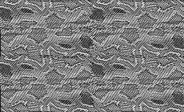 Snake skin texture. Fragment close-up. Black and white background of snake skin ornament with white stripes.