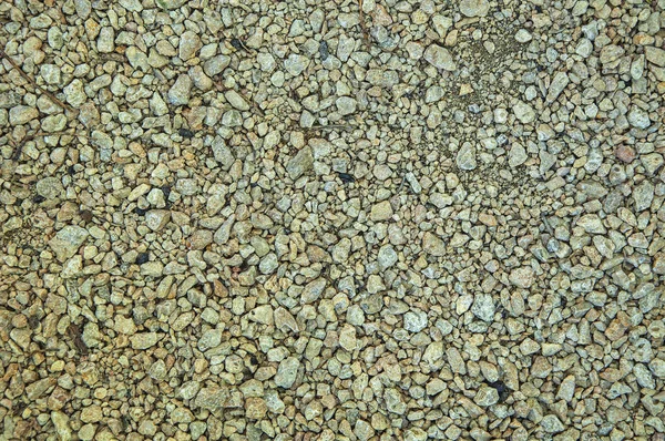 Strmá Suchá Tráva Seno Hrot Pšenice Šat Textura — Stock fotografie