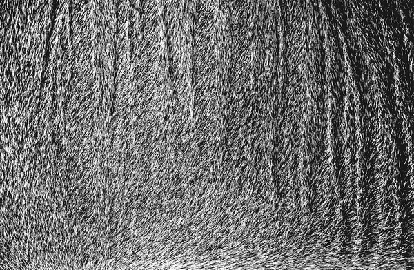 在自然毛皮 磨碎向量背景的贴面纹理上有压痕 抽象的半色调矢量插图 — 图库矢量图片
