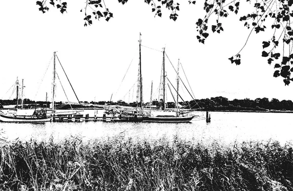 Hafen Mit Segelbooten Und Yachten Die Hafen Festgemacht Haben Meereslandschaft — Stockvektor