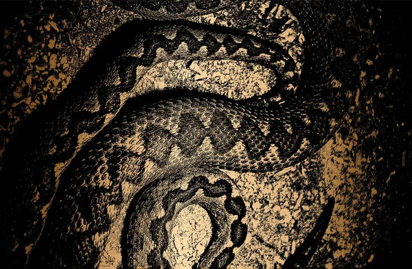 Distress Goldene Krokodilhaut Grunge Textur Eps Vektordarstellung Schwarz Weißer Hintergrund — Stockvektor