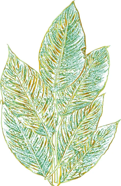나무의 잎들과 잎자루의 질감이요 녹색과 흰색의 Eps — 스톡 벡터