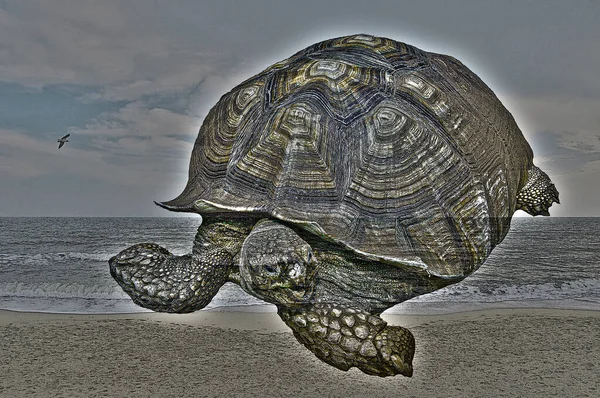 Abstrakt Marint Surrealistiskt Landskap Med Gigantisk Sköldpadda Som Kryper Sandstrand — Stockfoto