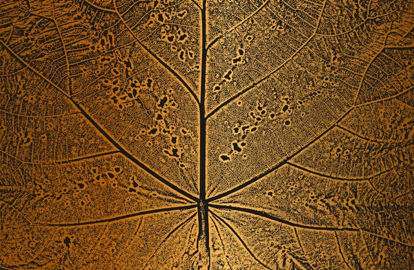 ストレスの木の葉 黄金の背景にリーフレットの質感 黒と白のグランジの背景 Eps8ベクターイラスト — ストックベクタ