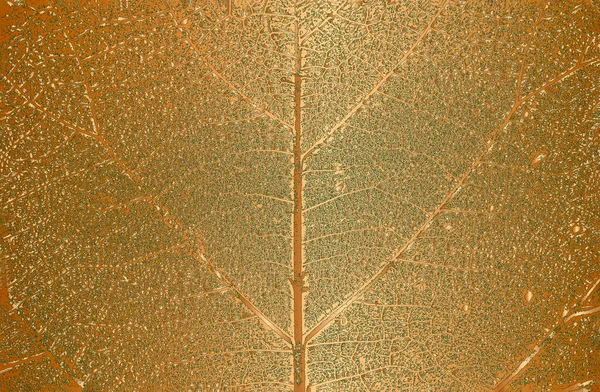 Distress Tree Leaves Leaflet Texture Golden Background Black White Grunge — Stock Vector