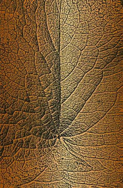 Feuilles Arbre Détresse Texture Foliaire Sur Fond Doré Fond Grunge — Image vectorielle