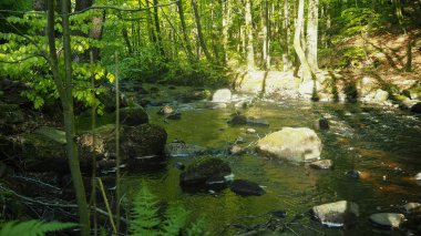 İsveç'te doğal nehir creek