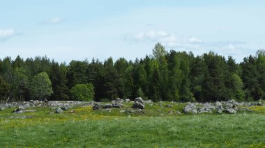 kayalar ile manzara ve İsveç'te çim