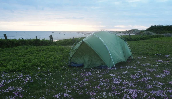 Camping Salvaje Suecia — Foto de Stock