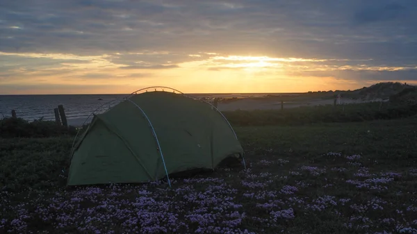 Camping Salvaje Suecia — Foto de Stock