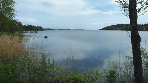 Sjö Sverige Sommar — Stockfoto