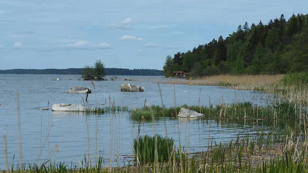 Sjön Sverige Med Skog — Stockfoto