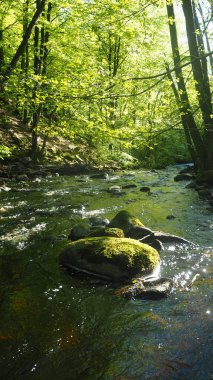 İsveç'te doğal nehir creek