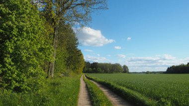 İsveç'te kırsal yol