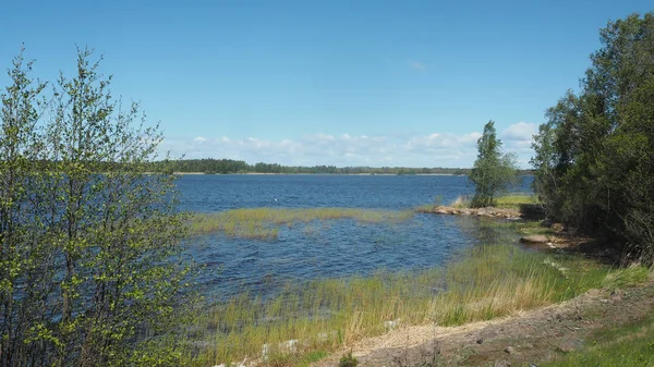 Mooie Zweedse Landschap Met Lake — Stockfoto