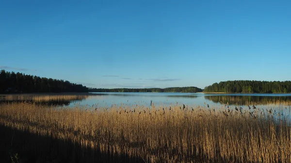 Vacker Solnedgång Natur Vid Sjön Saimen Finland — Stockfoto