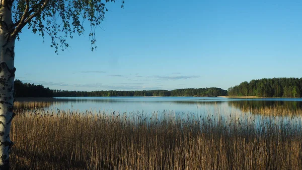 Vacker Solnedgång Natur Vid Sjön Saimen Finland — Stockfoto