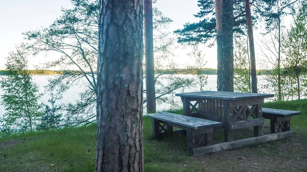 Pikniku Nad Jeziorem Saimaa Finlandii — Zdjęcie stockowe
