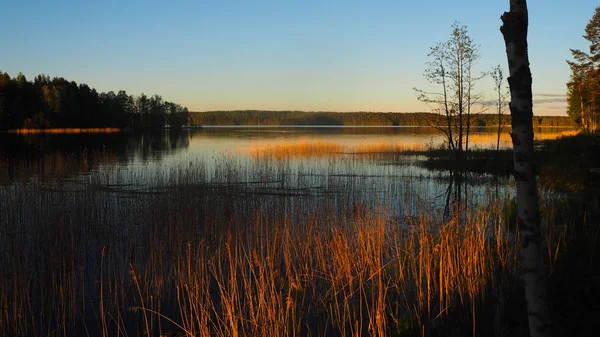 Vacker Solnedgång Natur Vid Sjön Saimen Finland — Stockfoto