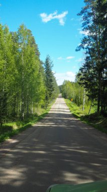 Finlandiya'da küçük kırsal yol