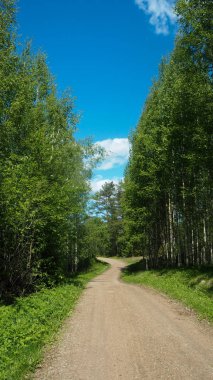 Finlandiya'da küçük kırsal yol