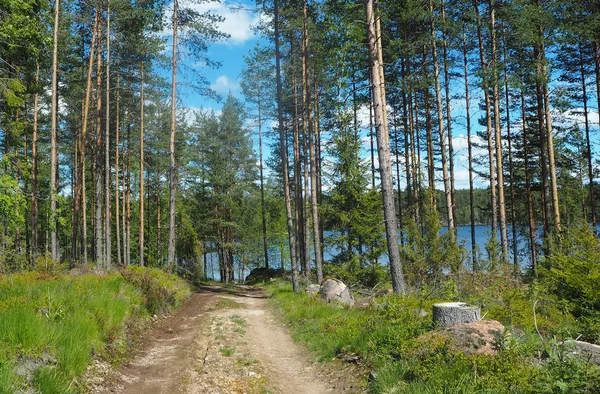 Naturwald Finnland Mit Felsen — Stockfoto
