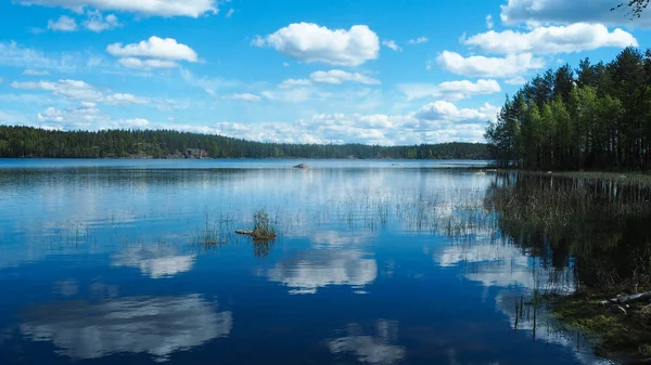 Nyáron Gyönyörű Finn Lakescape — Stock Fotó