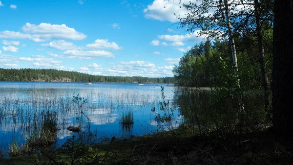 Nyáron Gyönyörű Finn Lakescape — Stock Fotó