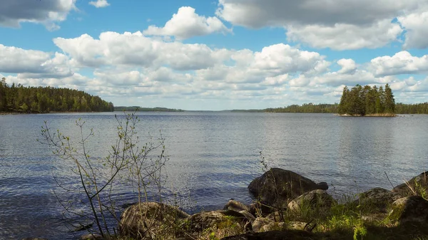 Nyáron Gyönyörű Finn Lakescape — Stock Fotó