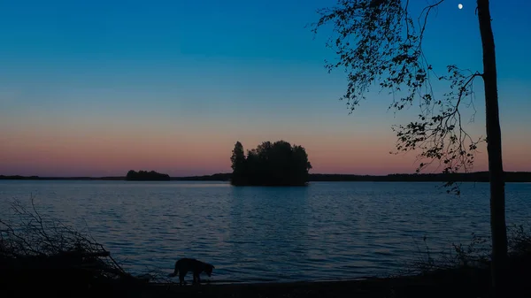 Prachtige Zonsondergang Bij Een Meer Met Een Treea Een Eiland — Stockfoto
