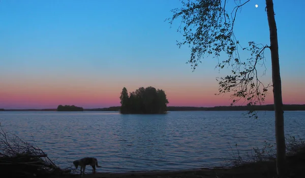 Prachtige Zonsondergang Bij Een Meer Met Een Treea Een Eiland — Stockfoto