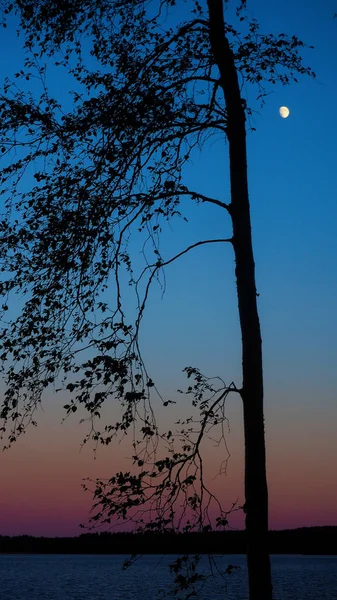 Prachtige Zonsondergang Bij Een Meer Met Een Boom Een Eiland — Stockfoto