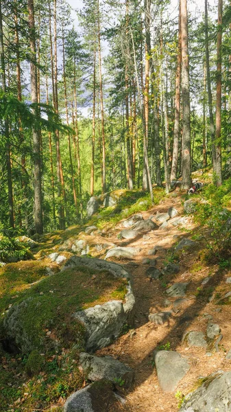 Felsweg Einem Natürlichen Wald Finnland — Stockfoto