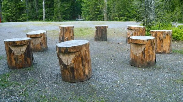 circle of 8 wooden stools outside in the forest