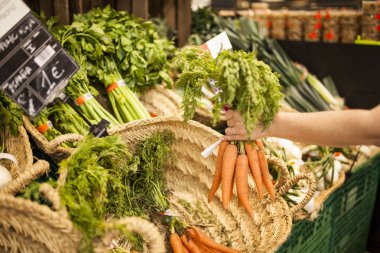 kadın eli hipermarket sebze sepeti üzerinden birkaç havuç toplama