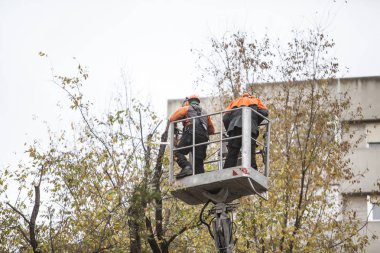 Ağaçların dalları budama Asansör sepet işleçleri