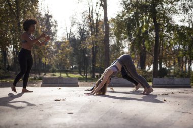 Yogi grup pratik yoga açık havada