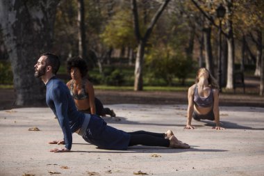 Yogi grup pratik yoga açık havada
