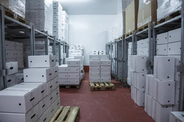 Stock White Boxes Stacked Pallets Freezer Camera — Stock Photo, Image