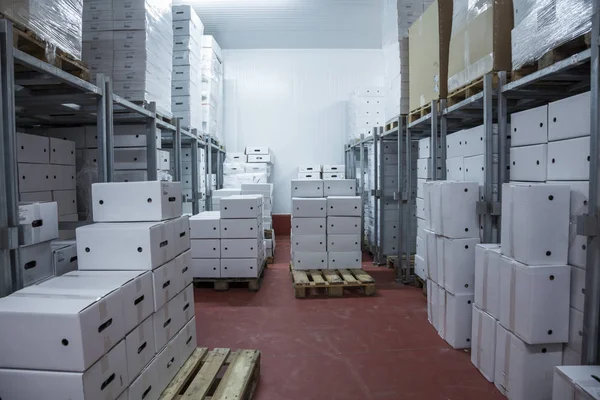 bir dondurucu kamera paletler üzerine yığılmış beyaz kutu stok