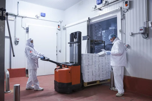 Trabajadores Con Ropa Higiénica Quitando Una Paleta Cajas Cámara Del — Foto de Stock