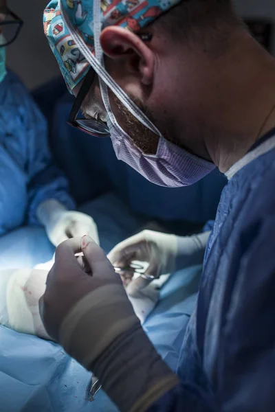 Surgery room of the veterinary clinic — Stock Photo, Image