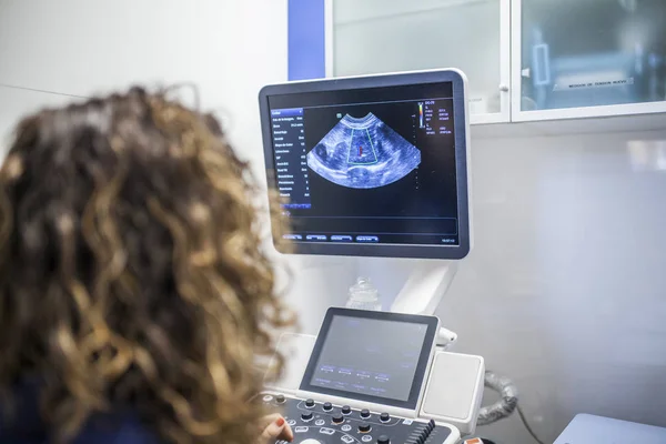 Ultrasound on a cat — Stock Image Ultrasound on a cat Royalty Free Stock Photos