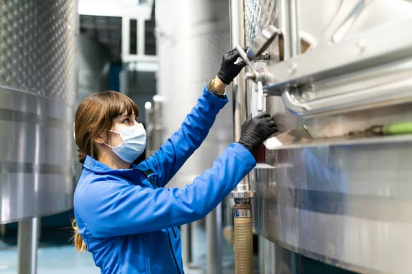 Young Woman Technician Checking Purity Wine Samples Laboratory Wine Cellar — Stock Photo, Image