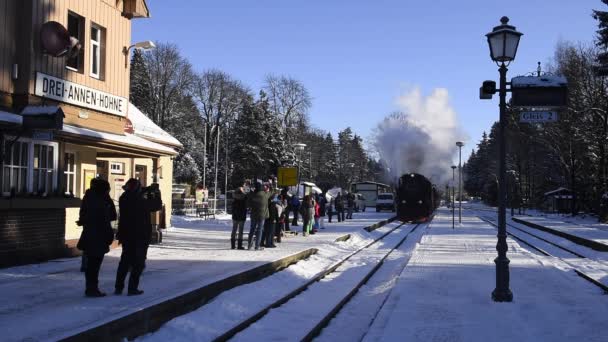 Drei Annen Hohe 2018年2月5日 Harzer Schmallspurbahnen 的蒸汽机车在冬天来车站与人等待 — 图库视频影像